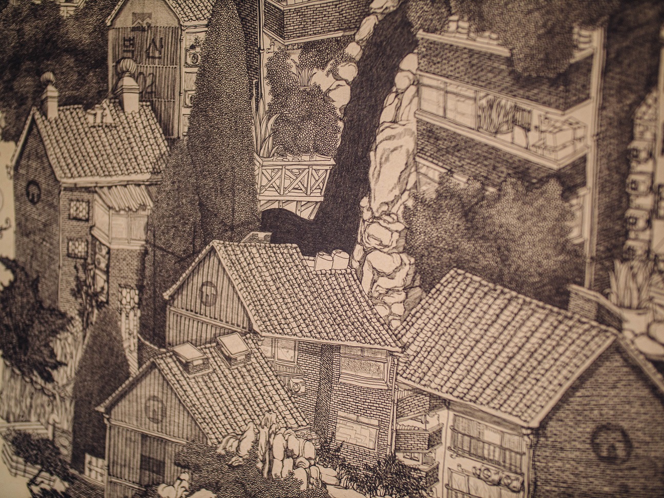 P1455002.jpg