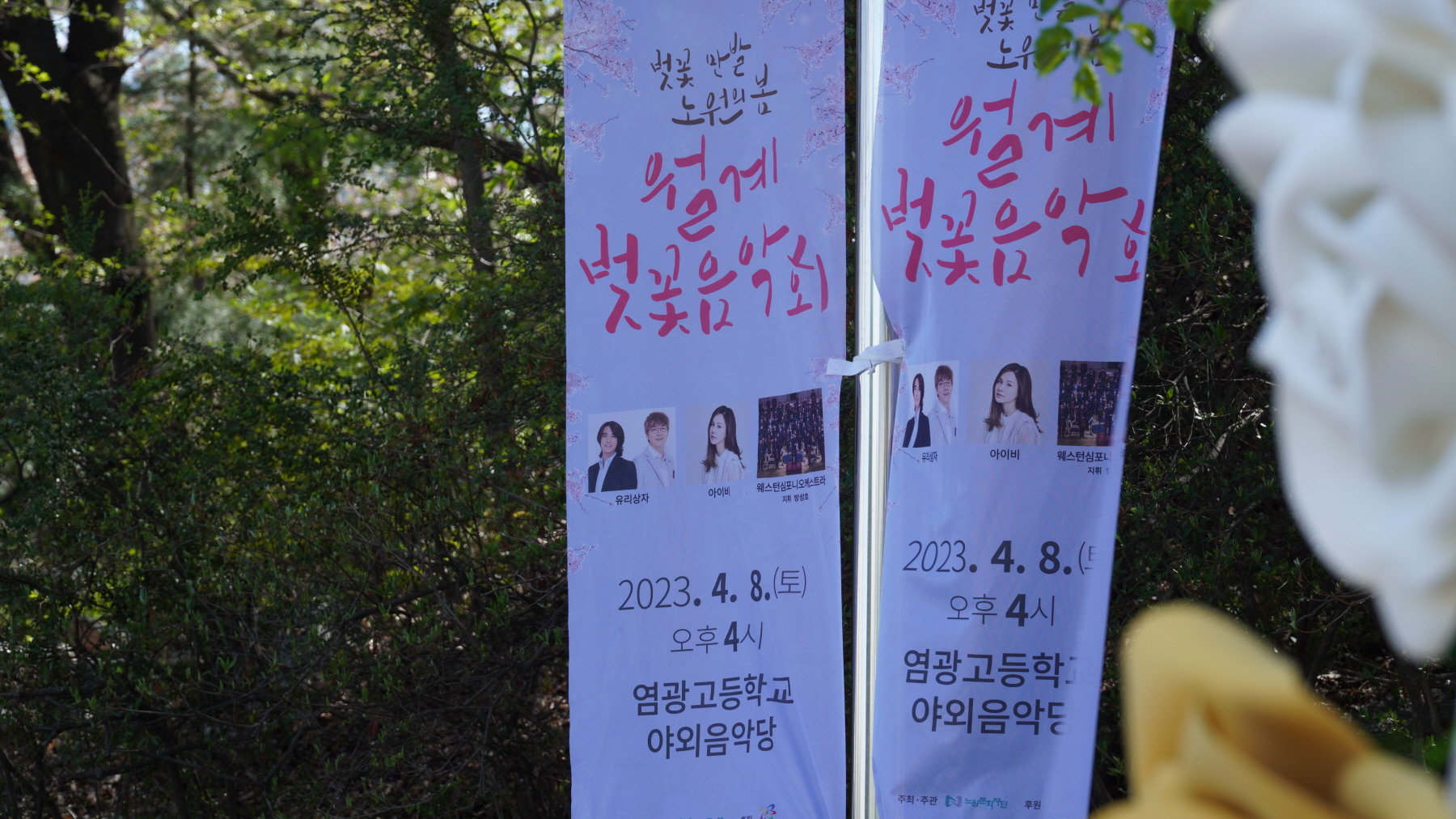 포스터0000DSC04256.JPG