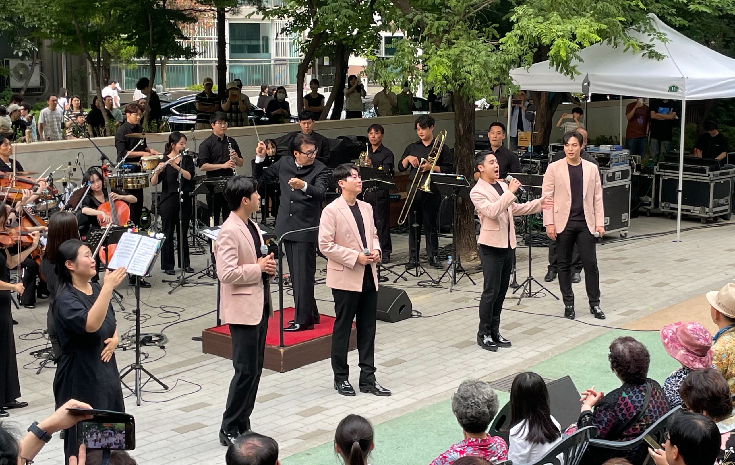 분홍1.jpg