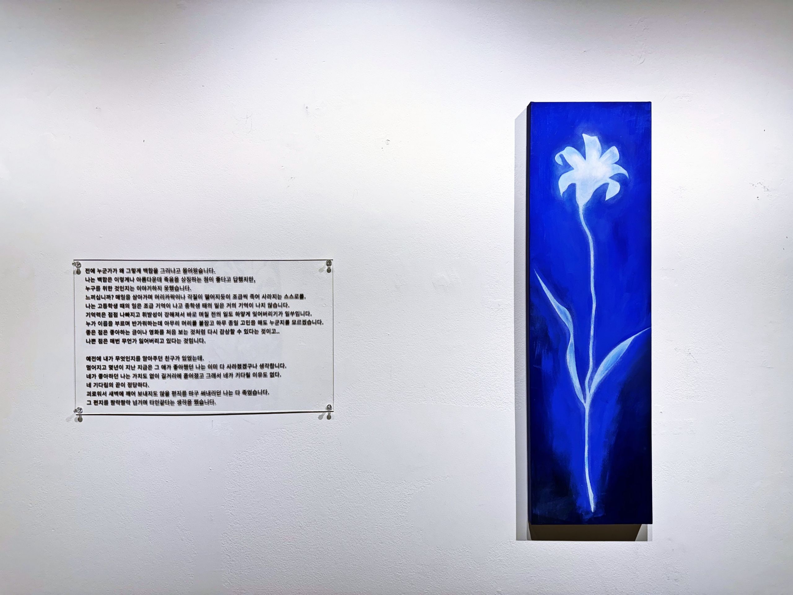 어제의 나를 위한 백합9-2.jpg